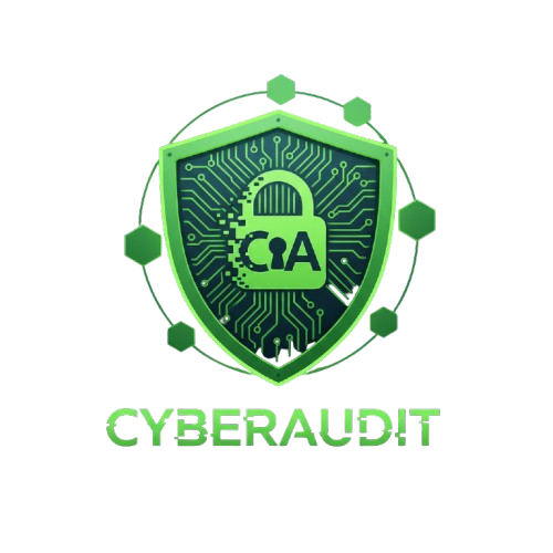 CyberAudit